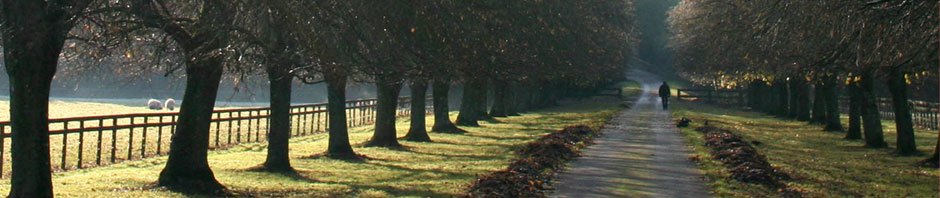 Alan's Blog